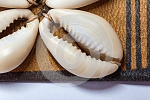 Close up of Cowrie shells belt from Nigeria
