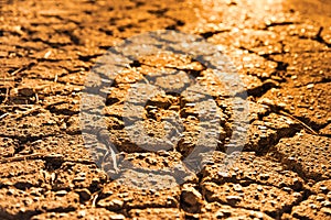 Close-up of cracked asphalt texture in evening golden sunslight. Cracks on the old road surface.