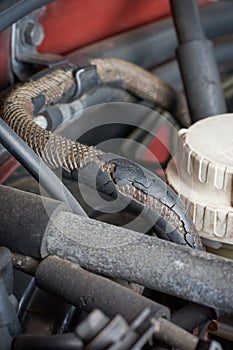 close-up of cracked and deteriorated automotive hose