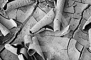 A close-up of cracked, dry soil with curled edges revealing the ground beneath