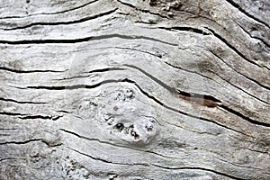 Close up of cracked wood background
