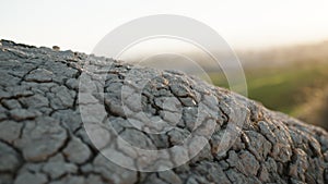 Dry Ground With Cracks. Close up