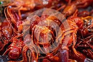 Close up of Crawfish or crawdads