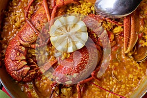 Close-up of creamy rice with lobster, clams and other seafood.