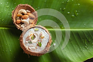 Close-up of Creamy Sabudana Kheer Garnished with dry fruits. Indian delicious dessert. Served in a coconut shell. on banana leafna