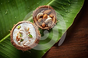 Close-up of Creamy Sabudana Kheer Garnished with dry fruits. Indian delicious dessert. Served in a coconut shell. on banana leafna