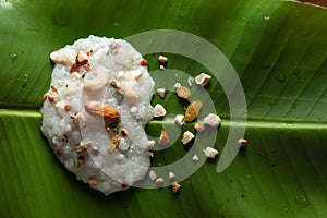 Close-up of Creamy Sabudana Kheer Garnished with dry fruits. Indian delicious dessert. Served in green banana leaf.