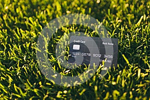 Close up credit bank black card on vibrant spring green fresh golf grass, sunshine lawn. Nature texture, green