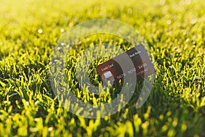 Close up credit bank black card on vibrant spring green fresh golf grass, sunshine lawn. Nature texture, green