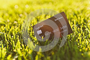 Close up credit bank black card on vibrant spring green fresh golf grass, sunshine lawn. Nature texture, green