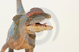 A Close Up of a Crested Dilophosaurus Dinosaur