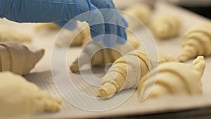 Close up croissant lying on paper in tray before baking in confectionary shop