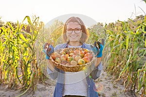 Close-up crop of ripe farm organic red tomatoes in basket in hands of woman