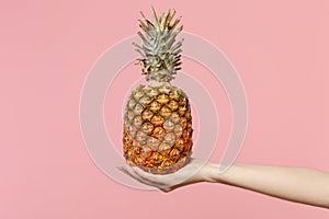 Close up cropped photo of female hold in hand fresh ripe tropical pineapple fruit isolated on pink pastel wall