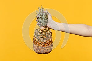 Close up cropped photo of female hold in hands fresh ripe pineapple fruit isolated on yellow orange wall background in