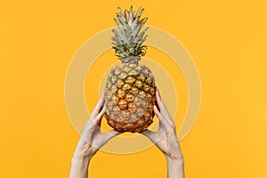 Close up cropped photo of female hold in hands fresh ripe pineapple fruit isolated on yellow orange wall background in