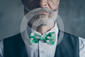 Close up cropped photo of serious millionaire old man show his stunning hairstyle beard mustache green necktie isolated