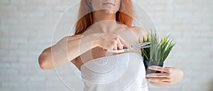 Close-up. Cropped. A woman shears a plant in a pot with a scissors simulating the removal of unwanted hair vegetation on