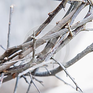 Close up crown of thorns as a symbol of death and resurrection of Jesus Christ