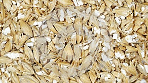 Close up of crushed malt for texture