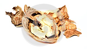 Close-up of crushed walnuts with nutshell isolated on white background