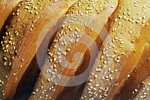 Close-up of a crust of bread