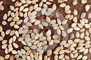 Close up of crust of the rye bread with sesame seeds