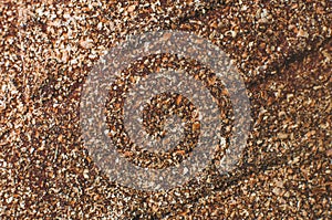 Close up of crust of the rye bread