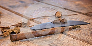 Close up of a cuban handmade cigar with dried tobacco leaves