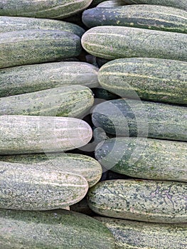 a close up of cucumber at the rack