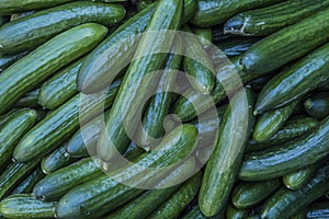 Close Up Of Cucumbers