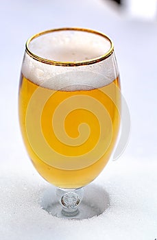 Close up of a cups of pilsner full of beer on snow