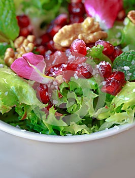 Close up of curly endive salad with pomegranate, nuts...