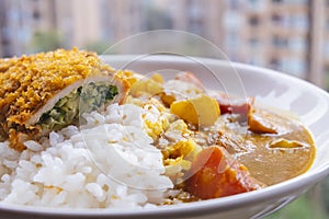 Close-up of curry pork chop rice