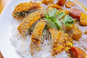 Close-up of curry pork chop rice