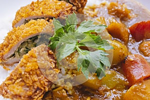 Close-up of curry pork chop rice