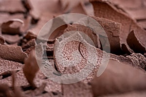 Close up of Curving Piece of Dried Mud