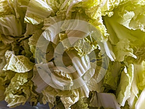 close up of cut chicory vegetable