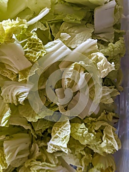 close up of cut chicory vegetable