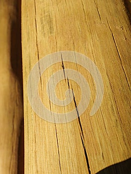 Close-up of cut wooden trunk.