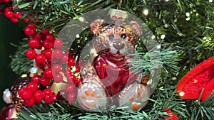 Close up of cute bear on christmas tree