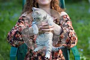 Close up of a cute kitty-cat in the woman`s hands