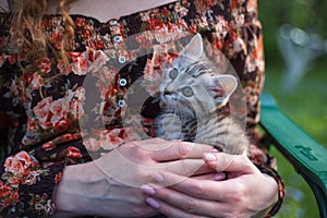 Close up of a cute kitty-cat in the woman`s hands