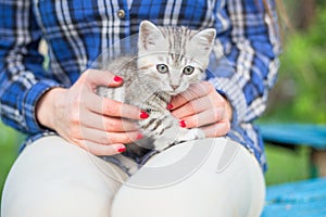 Close up of a cute kitty-cat in the woman`s hands