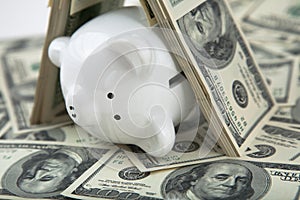 Close up of cute piggy bank lying down