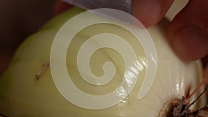 Close up of cutting onion