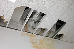 Close-up Of Damaged Ceiling