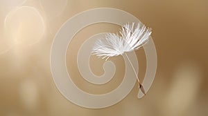 A close up of a dandelion seed blowing in the wind, AI