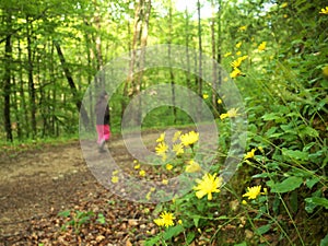 Close-up of dandelions with a silhouette of a little girl walking in the forest in background