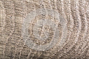 Close-up of dark gray wood bog oak composition. photo